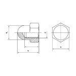 Περικόχλια (παξιμάδια) εξάγωνα τυφλά DIN 1587 8.8 γαλβανιζέ